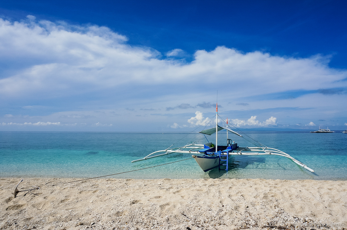 balicasag island bohol