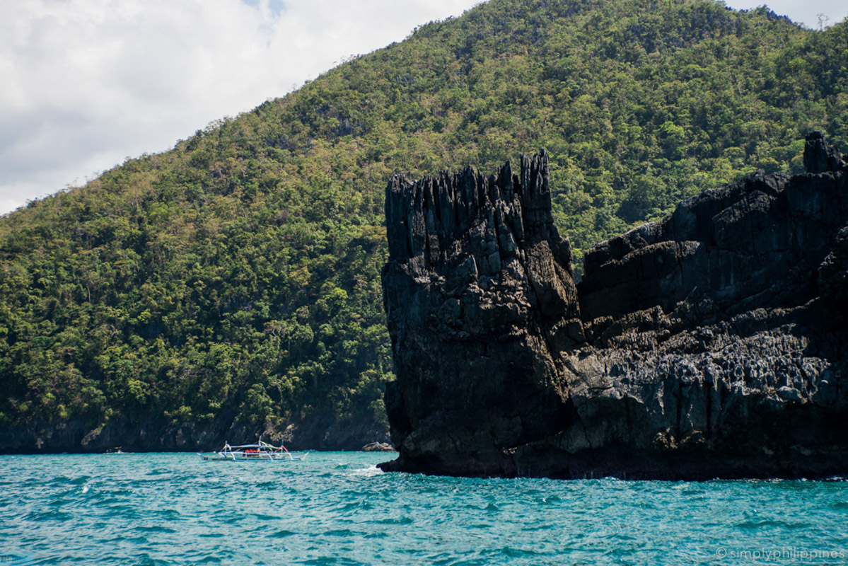 Boat ride to the mouth of the river