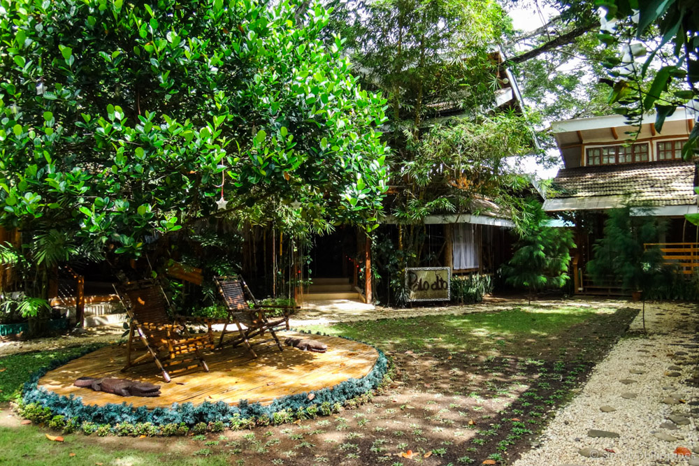 Palo Alto is small boutique hotel where trees are part of the architecture. The rooms are simple and clean, and you'll love their treehouse restaurant.