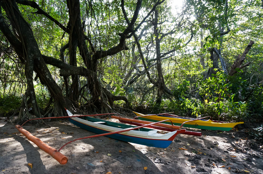 Filipino bancas at Palawan Mangrove Resort