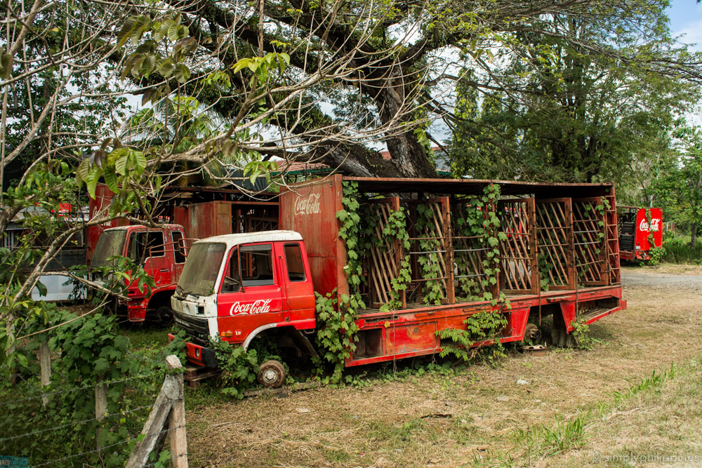 Roadside scenery in Puerto Princesa