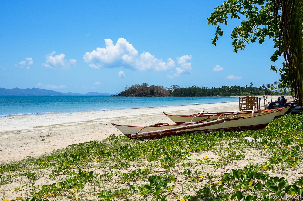 The beach at Qi Palawan