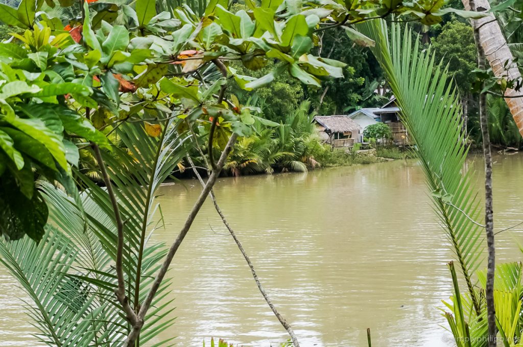 loboc river bohol