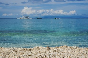 things-to-do-in-bohol